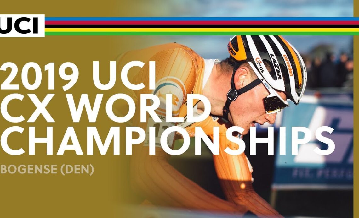 2019 UCI Cyclo-cross World Championships - Bogense (DEN) / Men Elite