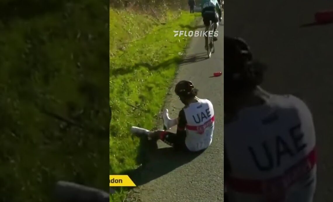 Fernando Gaviria breaks collarbone in Omloop crash #shorts