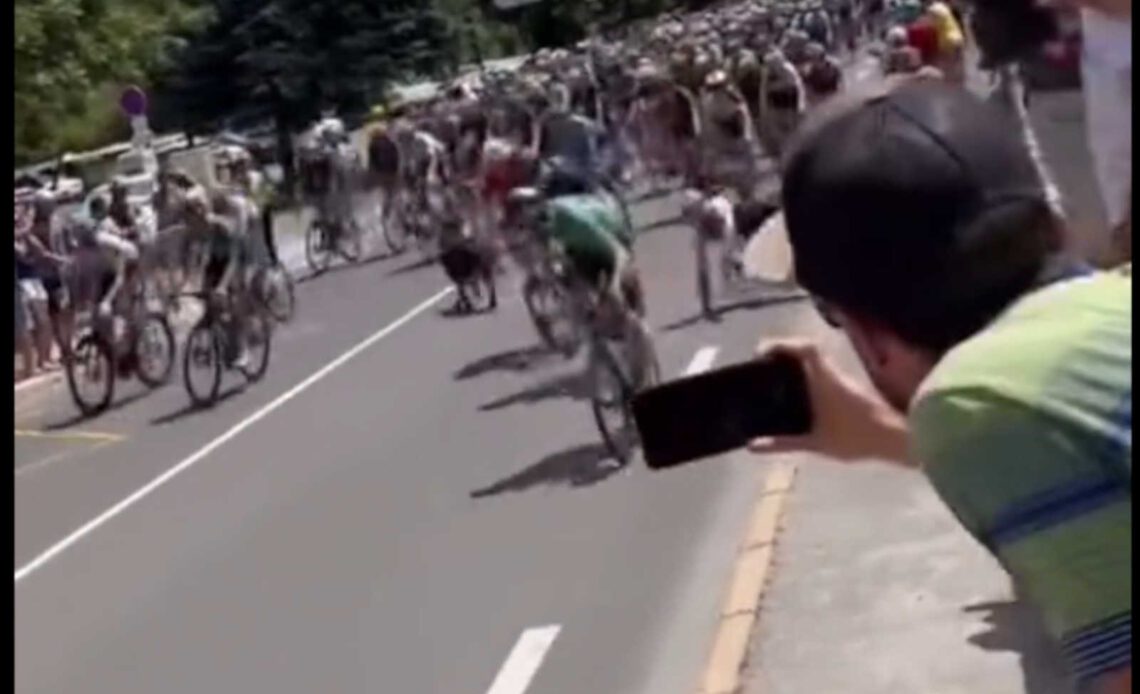 Off-leash dog causes crash in Tour de France peloton