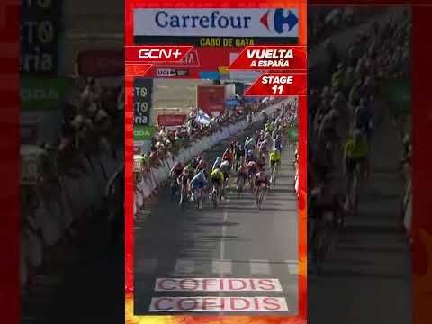 Exciting Sprint Finish On Stage 11 Of La Vuelta 2022 #shorts