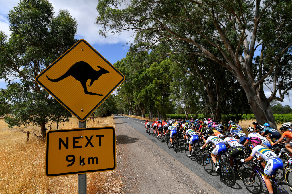 2023 Women's Tour Down Under to include Corkscrew climb