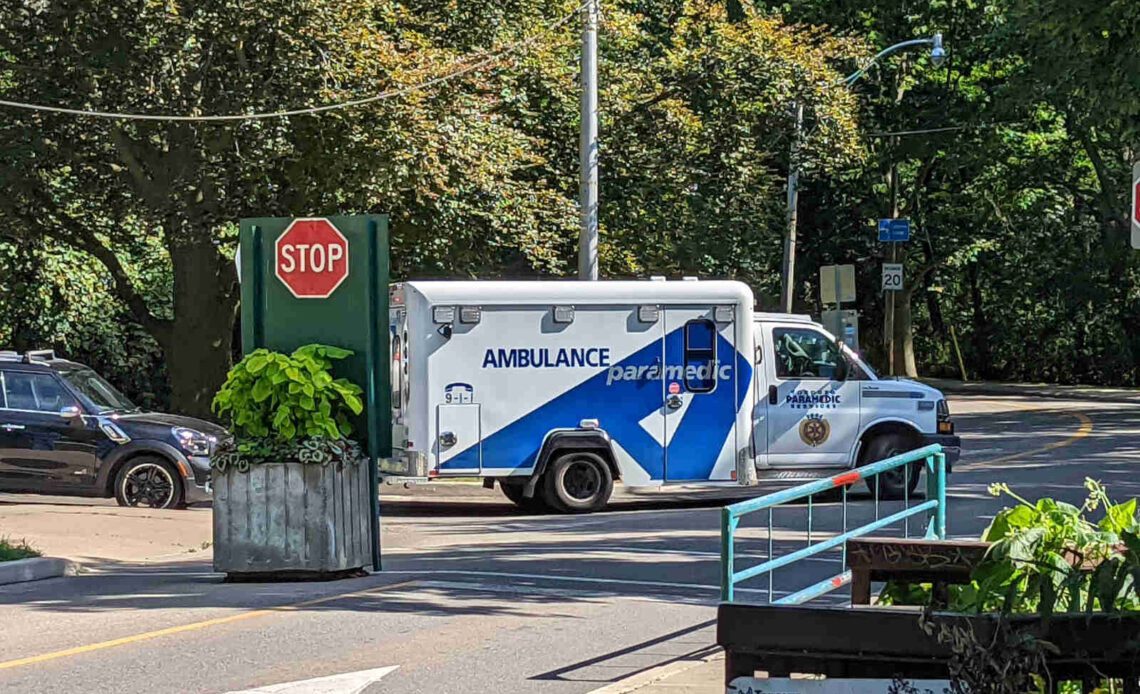 A cyclist has been assaulted by a motorist in High Park