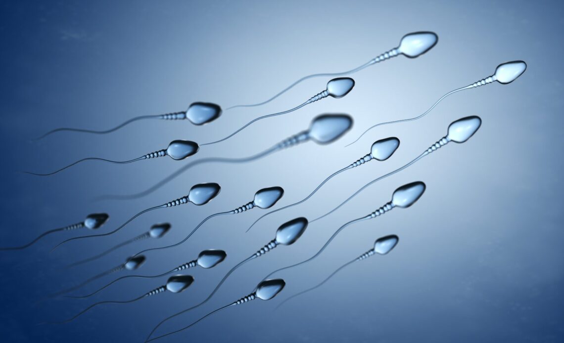 New study discovers that sperm work together in “pacelines” to fertilize egg