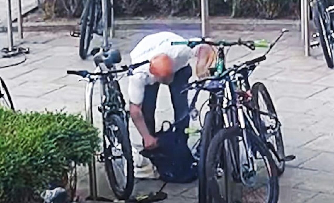 Watch thief use bolt cutters in plain daylight to break lock to steal $2000 bike