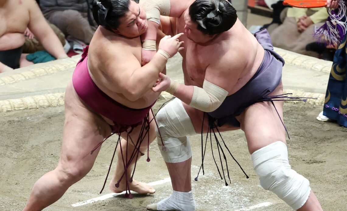 SUMO-JPN