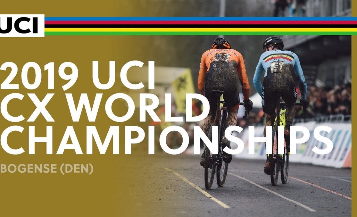 2019 UCI Cyclo-cross World Championships – Bogense (DEN) / Men Elite