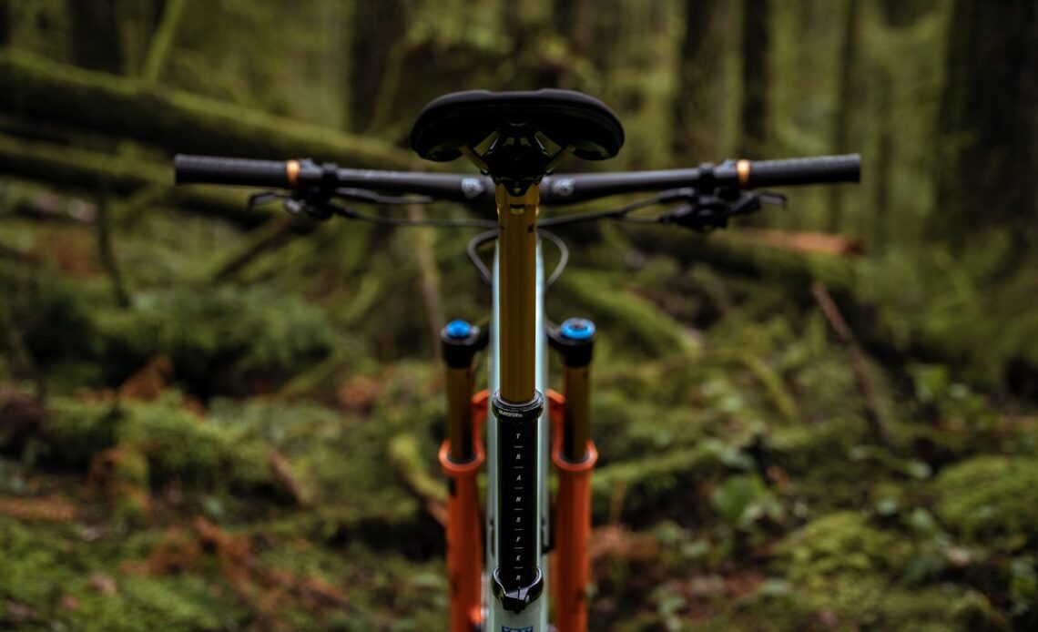 Back of Fox Transfer SL dropper seat post in the woods