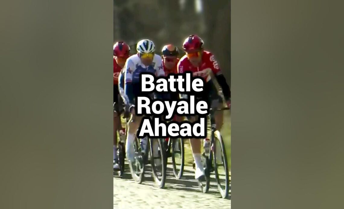 Omloop Battle Royale Ahead