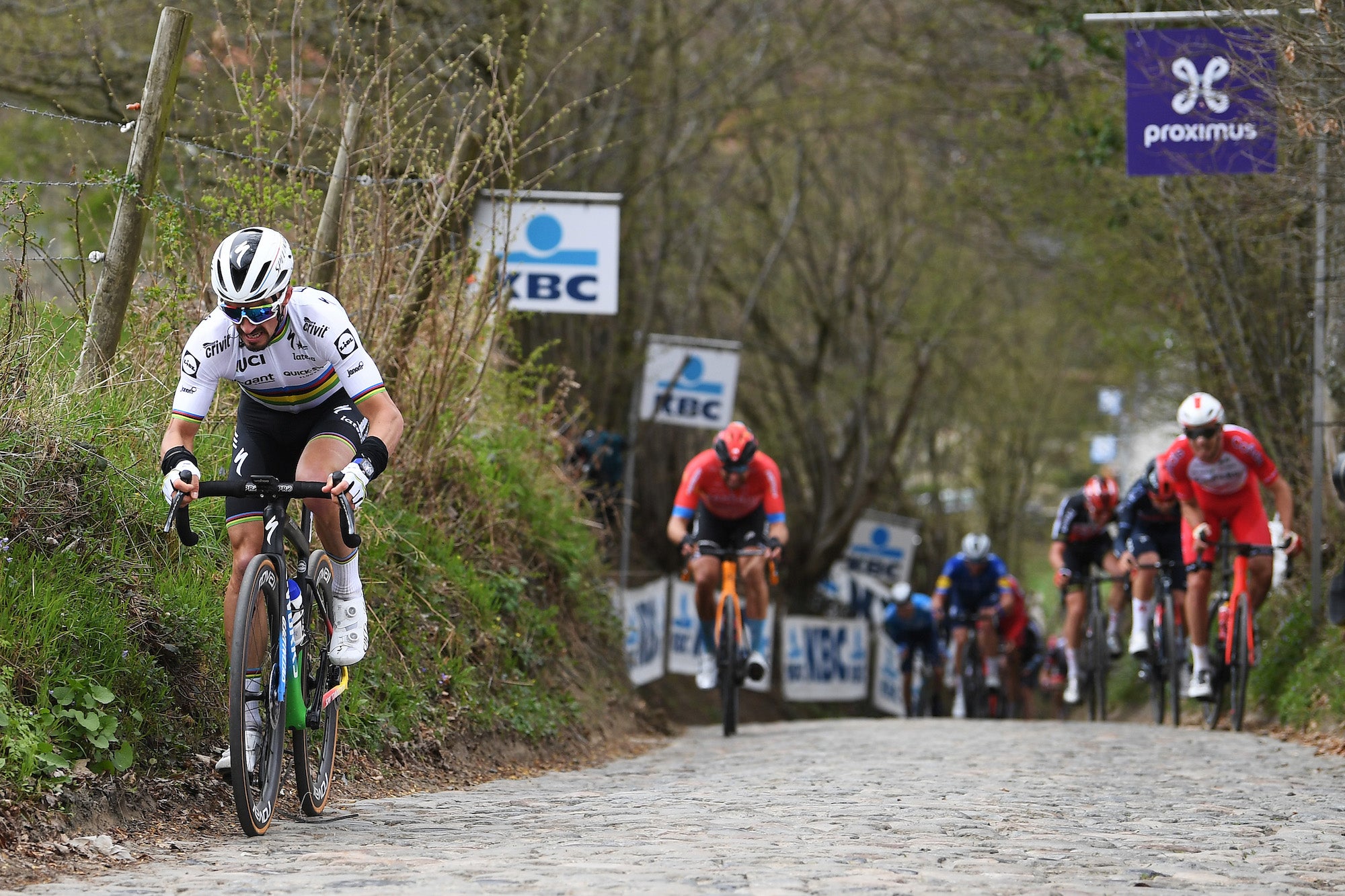 Julian Alaphillipe riding the Tour of Flanders