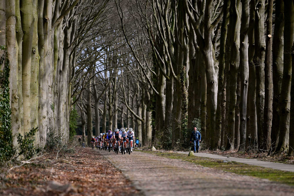 Miron Ronde van Drenthe 2023 Preview