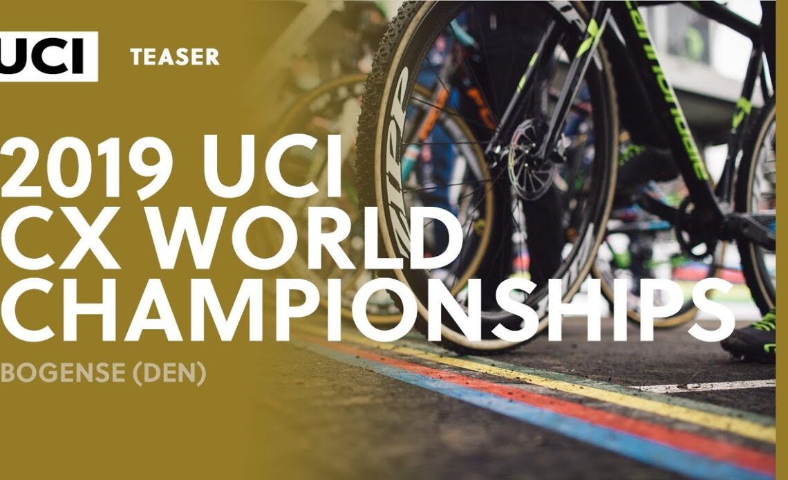 2019 UCI Cyclo-cross World Championships - Bogense (DEN)