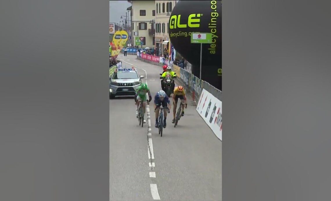 Movistar Dominate The Breakaway At Tour Of The Alps! #shorts
