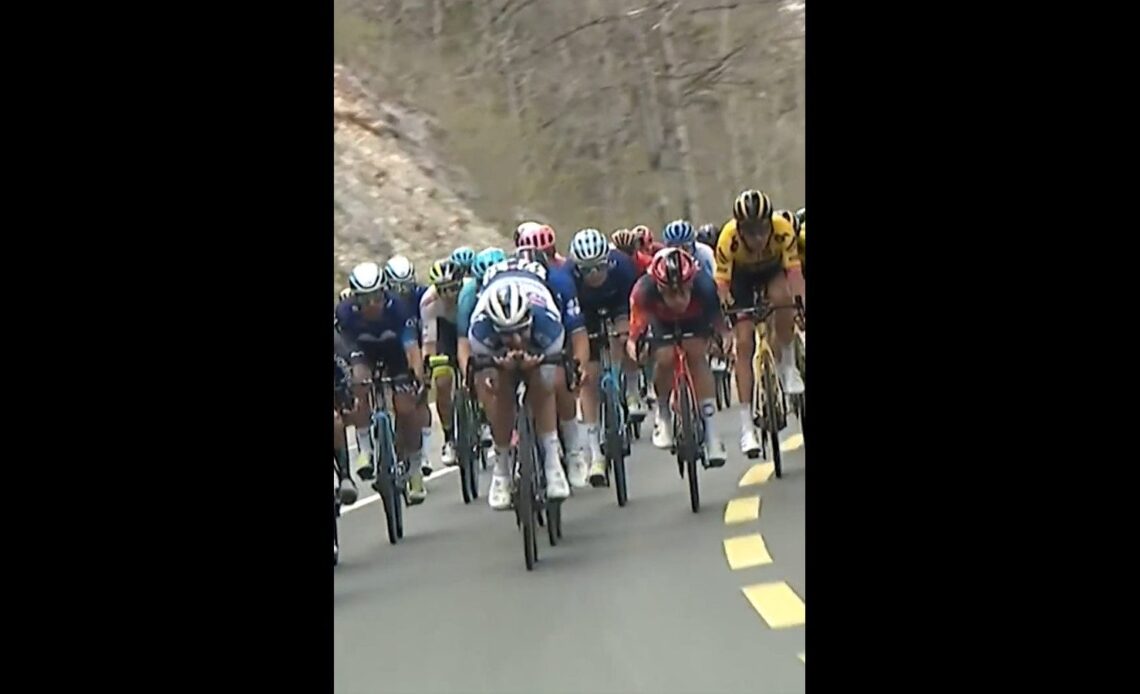 The peloton descending at Tour de Romandie