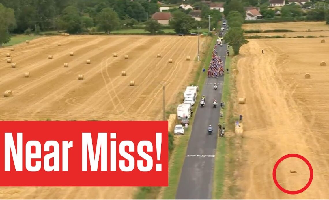 ANIMAL CROSSING! Deer Just Misses Peloton In Stage 11 In The Tour de France 2023