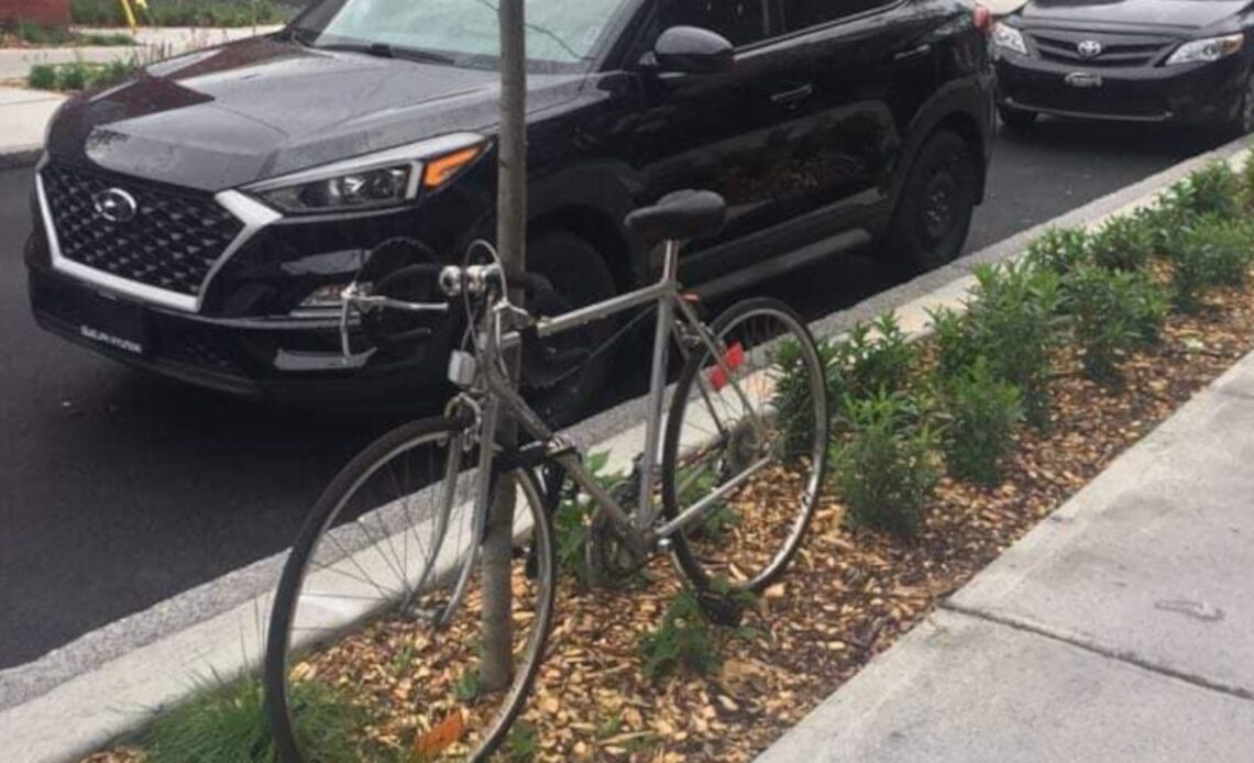 Thieves cut down tree to steal bike in Montreal