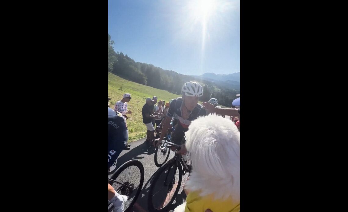 Valentin Madouas kissing his dog mid-race is the absolute cutest thing