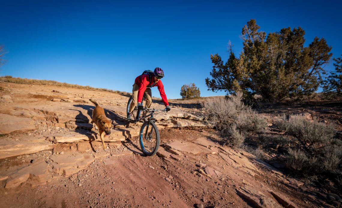 Strava and dogs: Finally your puppers can get KOMs
