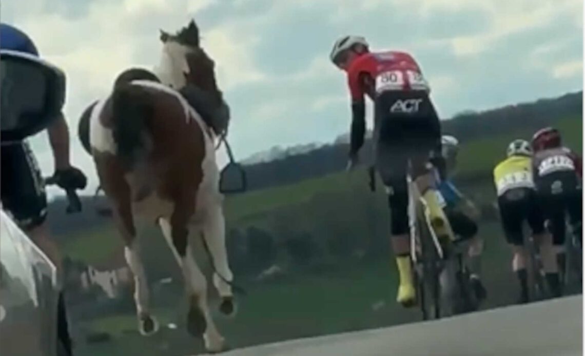 Quick-thinking cyclist saves horse from running into peloton