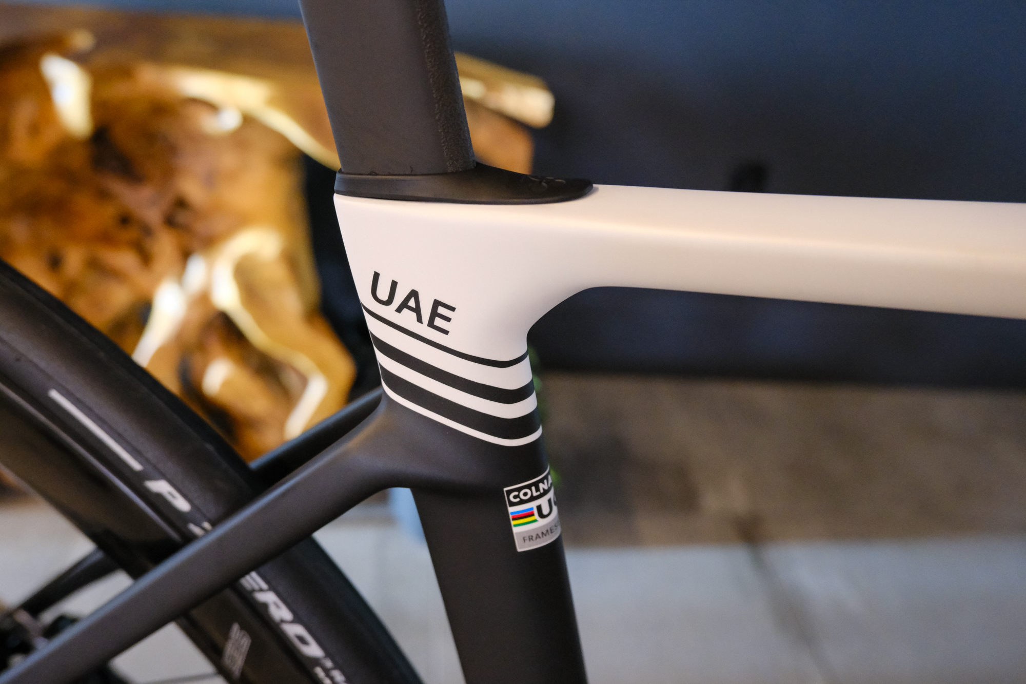 Colnago V5Rs - UAE team edition