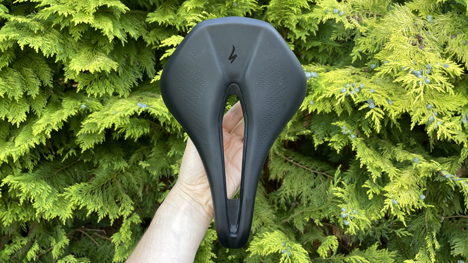 Specialized Power Expert Saddle held up in front of a conifer tree