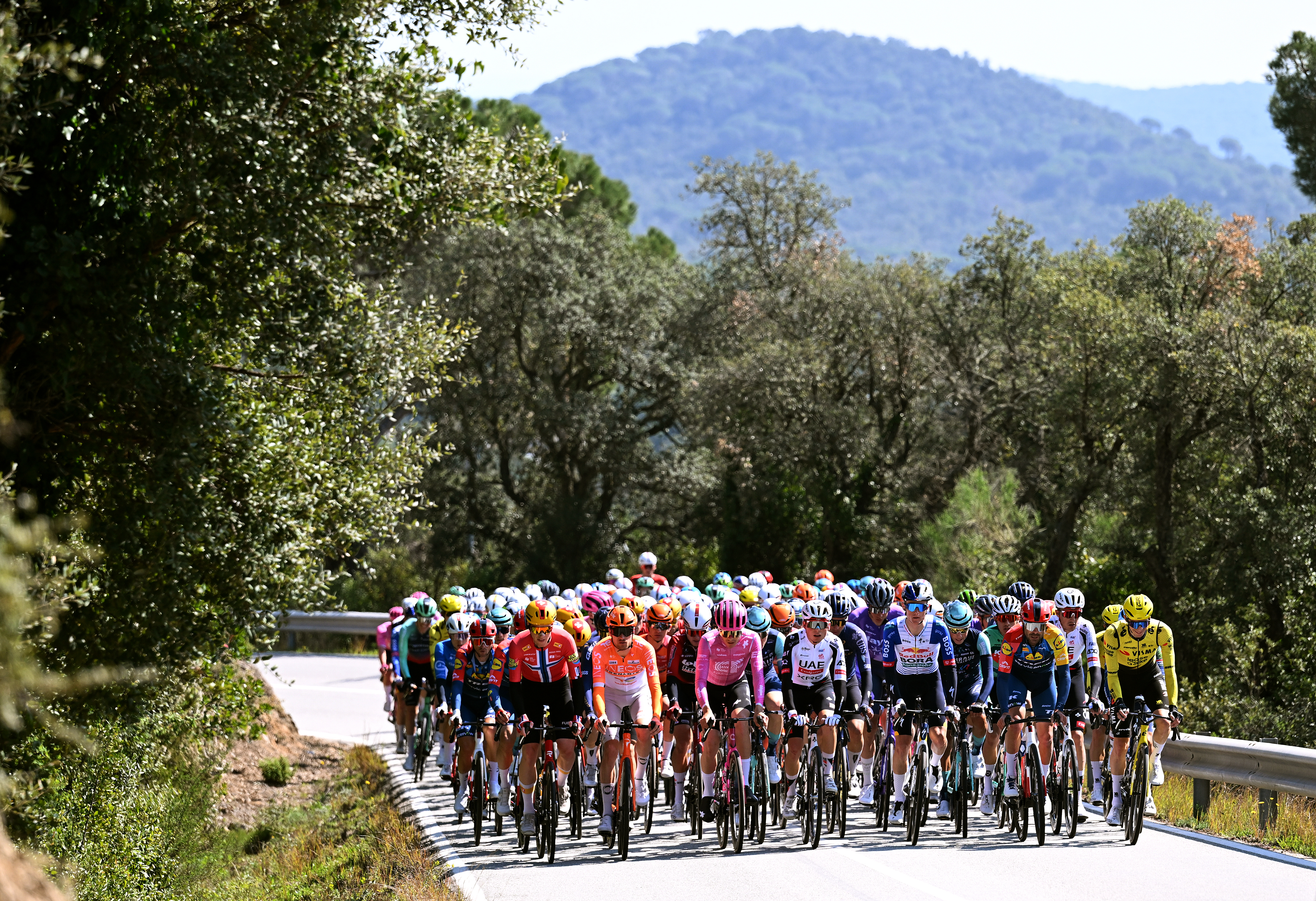 The peloton on stage 1 of Volta a Catalunya 2026