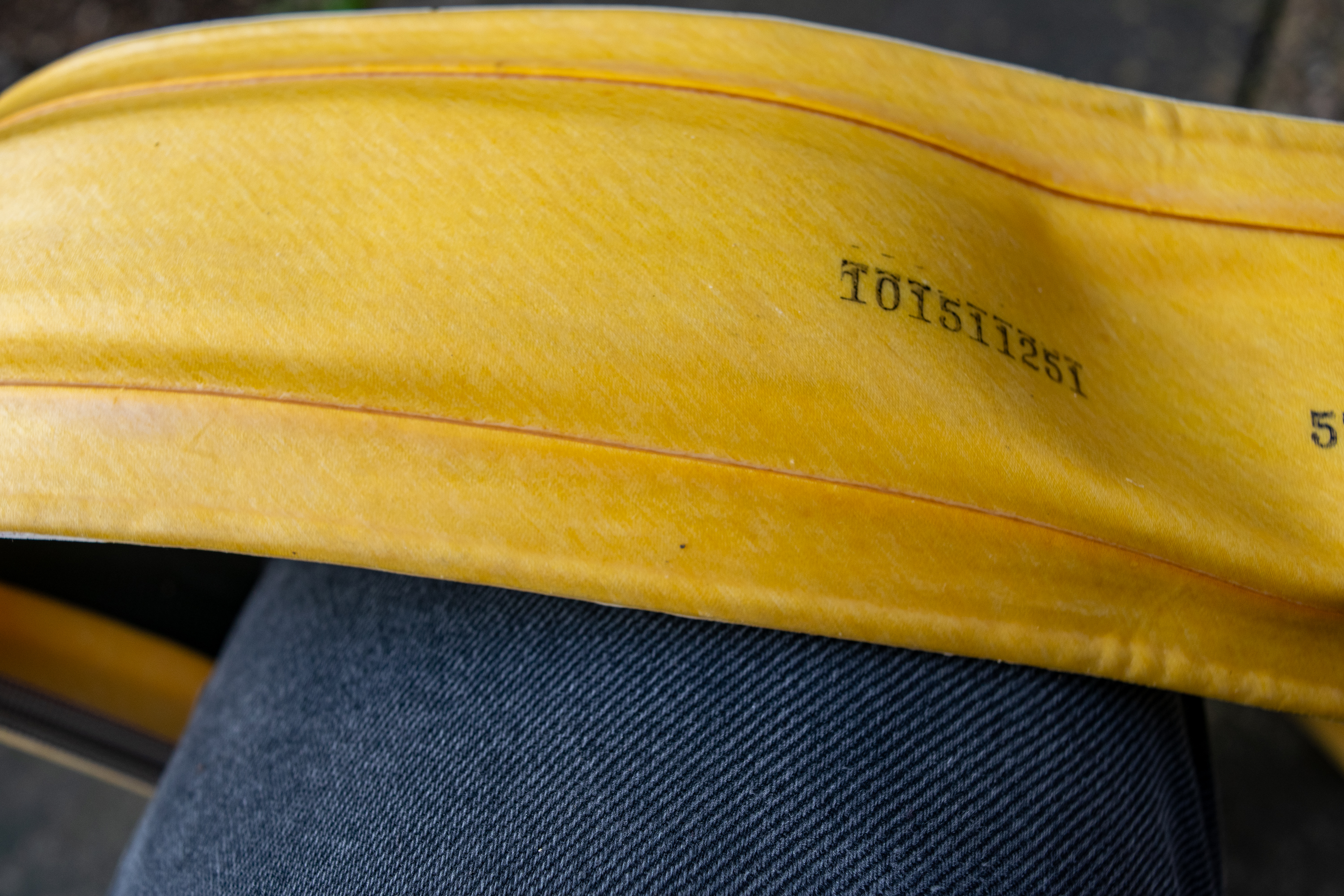 The inside of a Specialized Cotton TLR tyre 